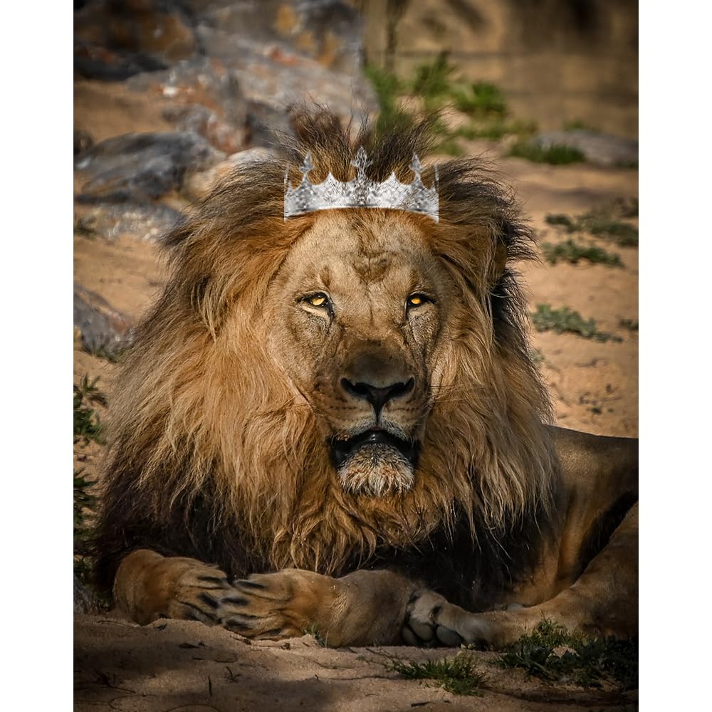 AOPRIE royal crown prop for Halloween costumes.