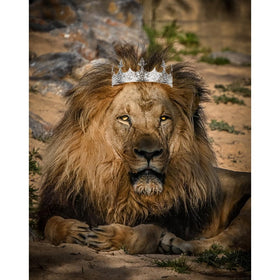 AOPRIE royal crown prop for Halloween costumes.