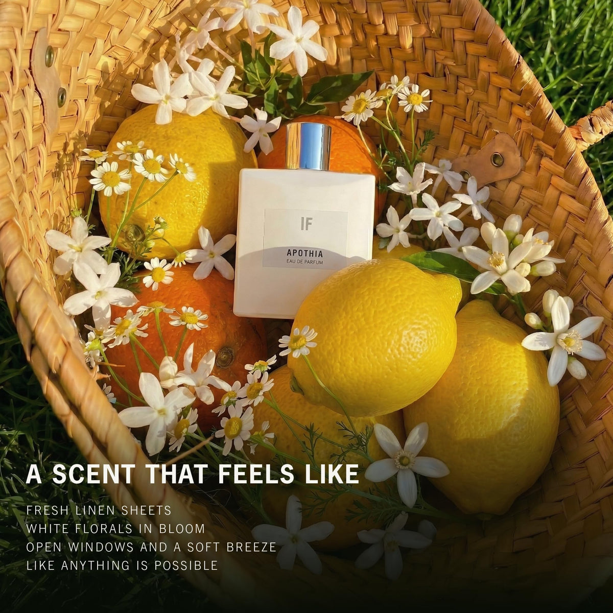 APOTHIA IF white-jasmine-musk, clean long-lasting finish.