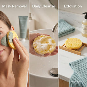 Appearus USA-made sponge trusted by skincare professionals.