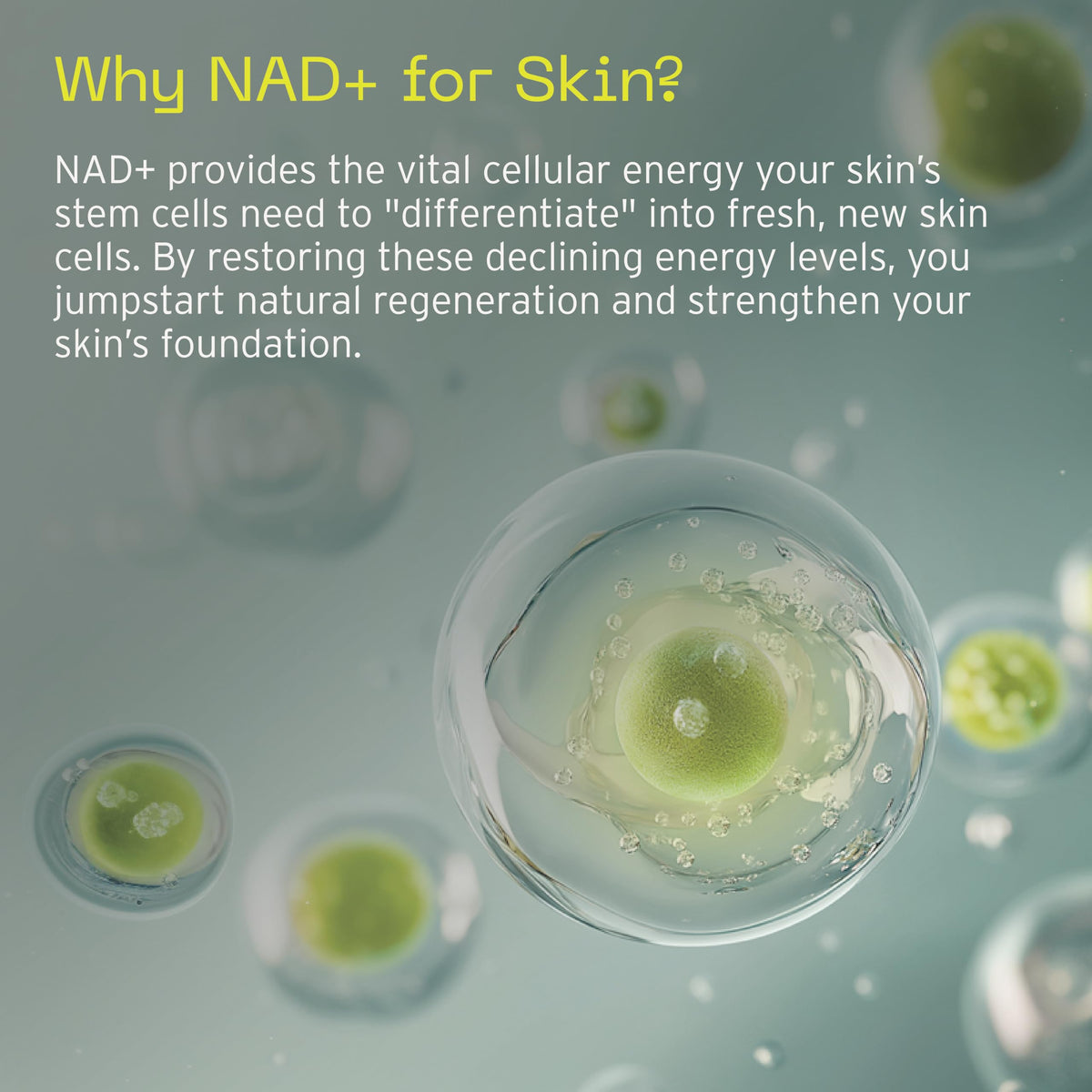 Aramore NAD+ Cell Energizing Treatment on vanity demonstrating easy routine integration