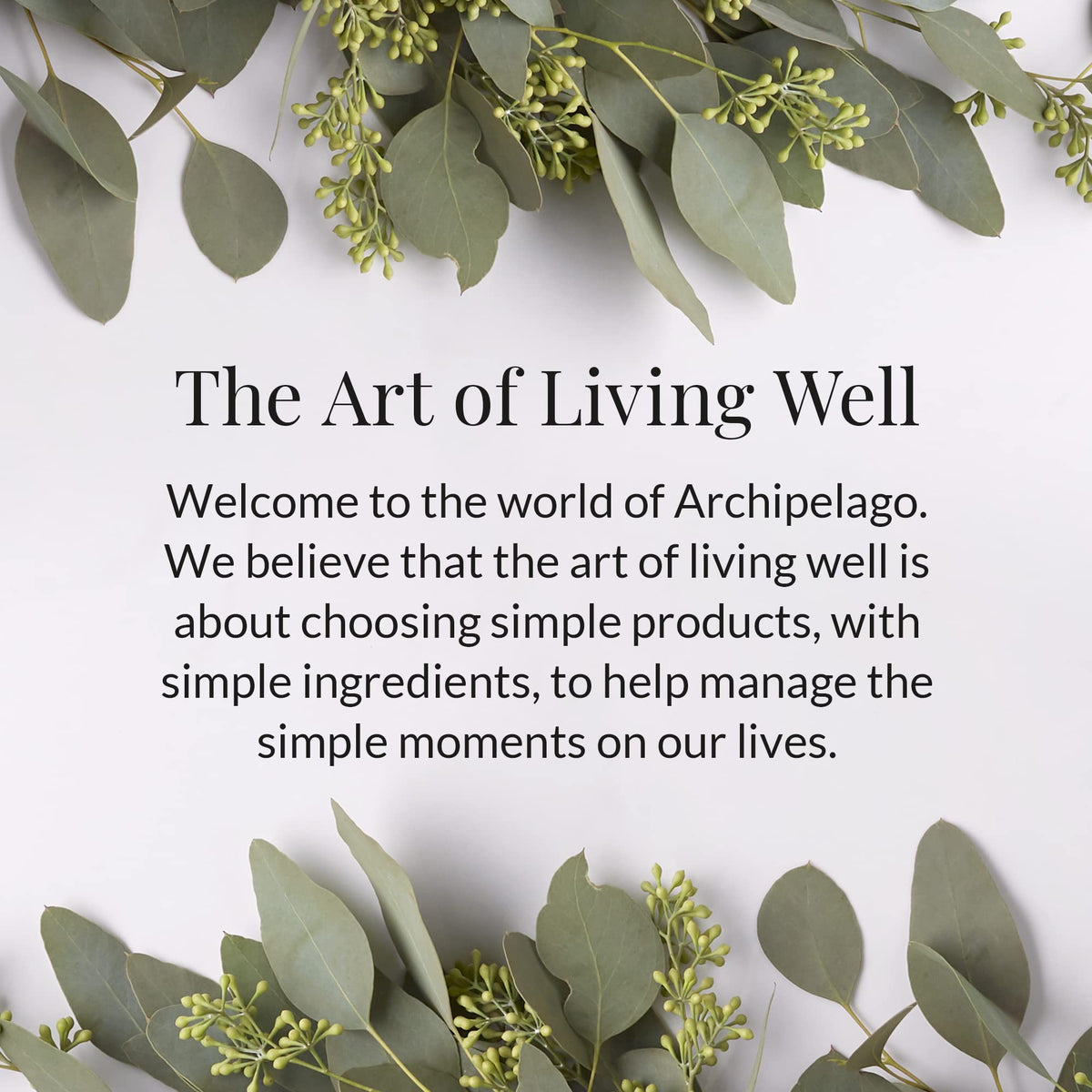 Archipelago Botanicals hands applying lotion demonstrates daily hydrating routine.