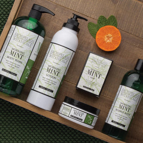 Herbal basil accent shown with mint freshness during a shower ritual.