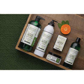 Tea leaf detail highlights botanical ingredients behind the refreshing formula.