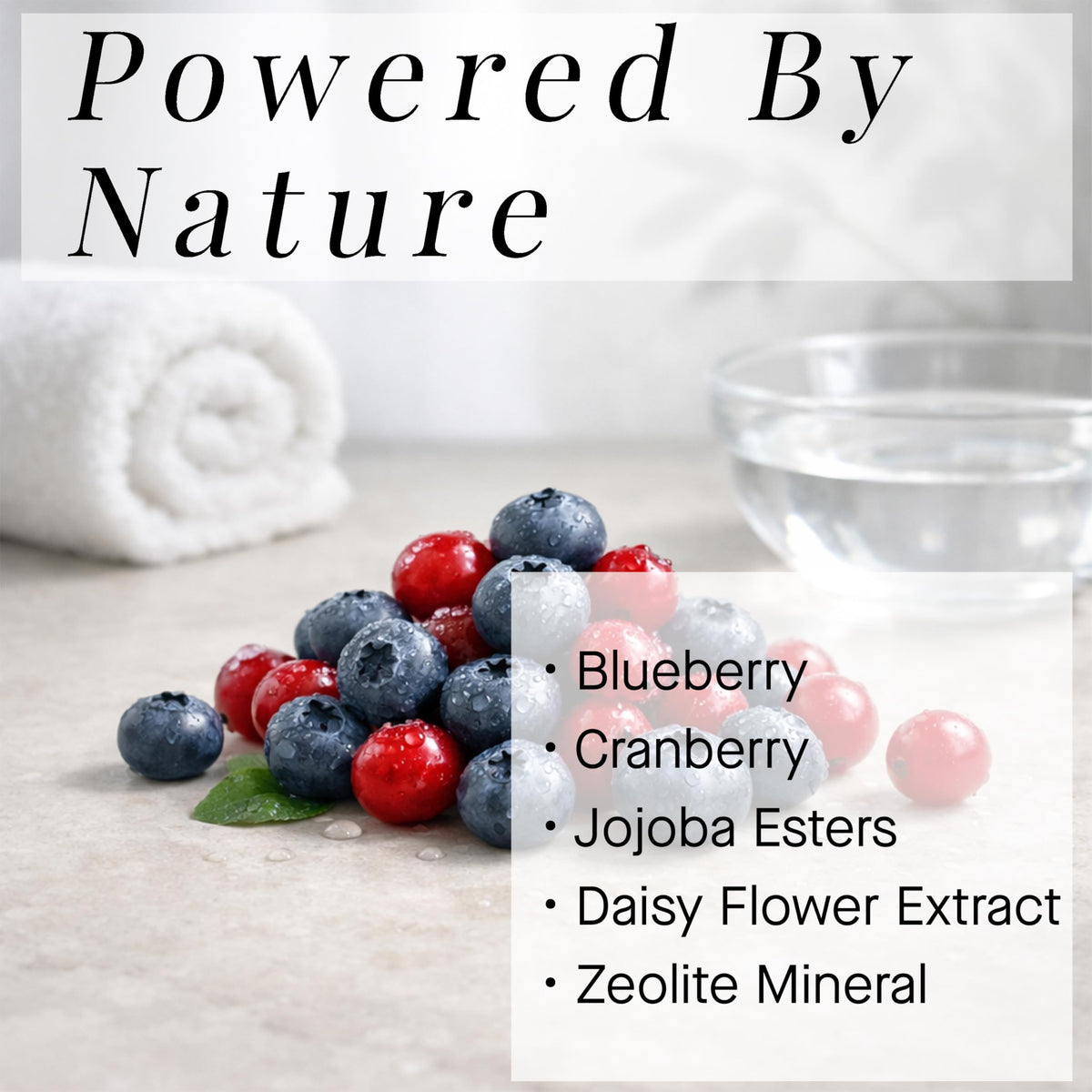 Zeolite mineral component in ARCONA Cranberry Gommage supporting detox and clarity.