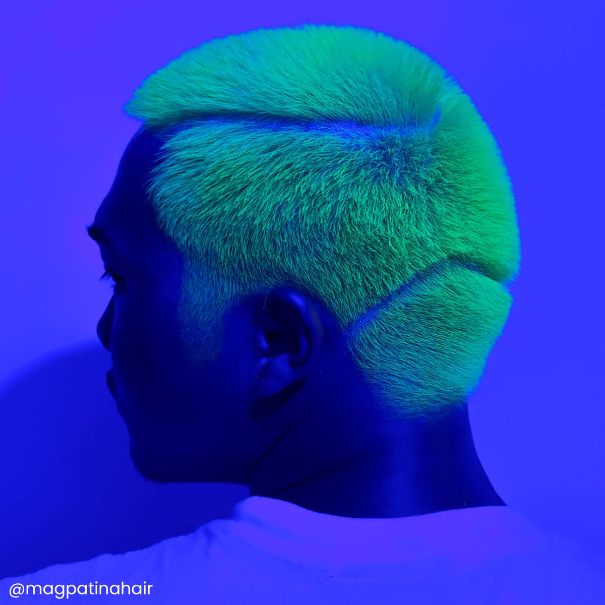 ARCTIC FOX Neon Moon application demonstration for easy use
