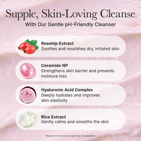 ARENCIA cleanser texture with rice cake pearls for everyday care