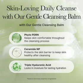 ARENCIA Pore Melt sebum-care-closeup highlights pore-cleaning effect.