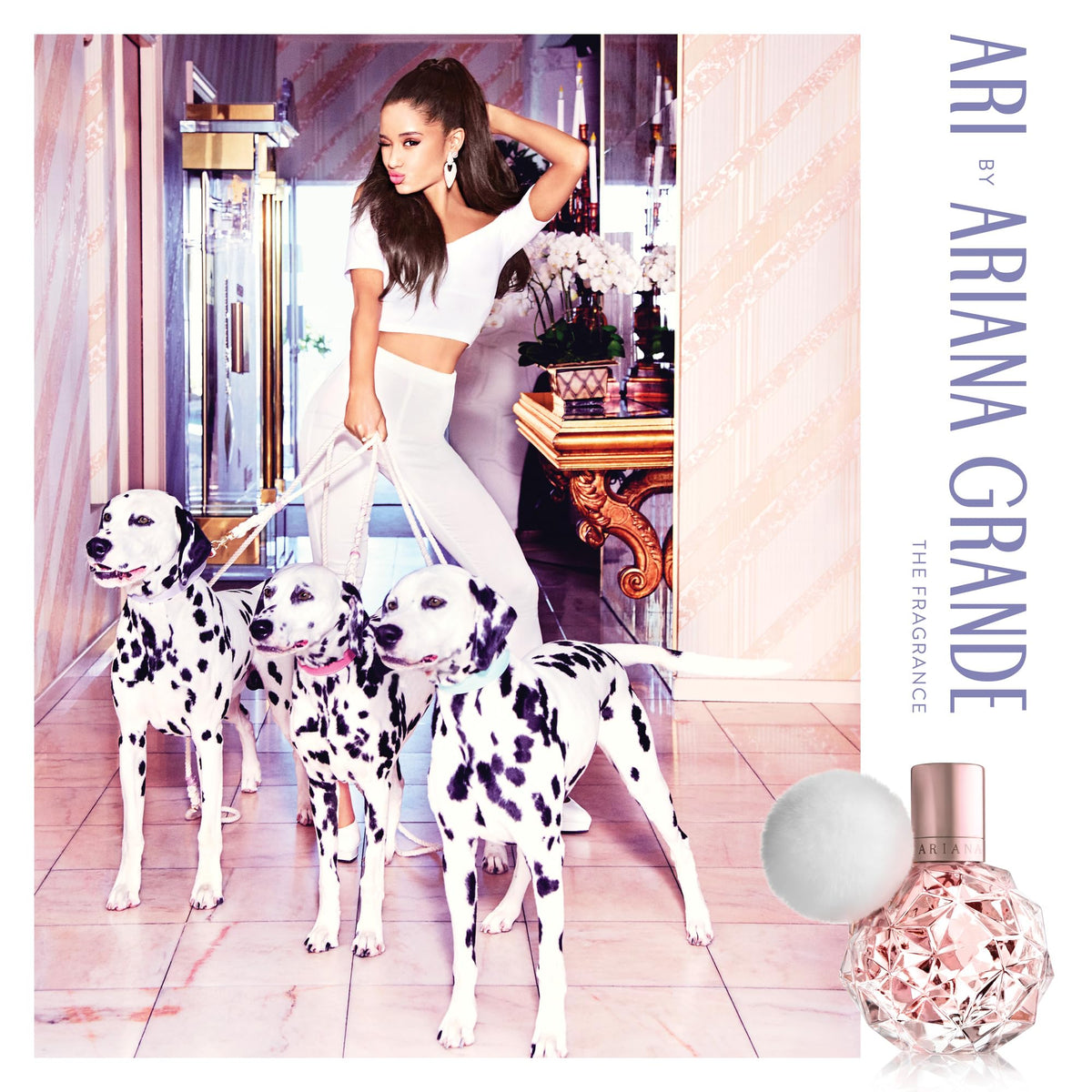 Ariana Grande Ari EDP packaging showing compact travel-friendly size.