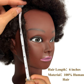 Durable stand and accessories kit for reliable cosmetology training.