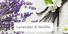 Close-up of rich lather from Arm & Hammer lavender vanilla hand soap.
