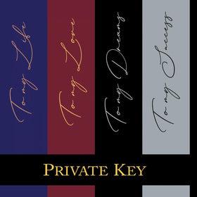 Armaf Club Night Private Key spray action shows even mist