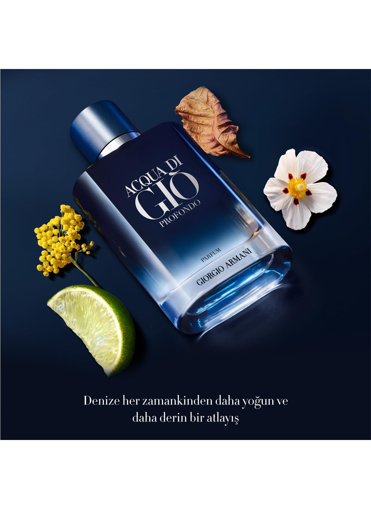 Cap detail of Armani Beauty Acqua di Gio Profondo Parfum with signature monogram