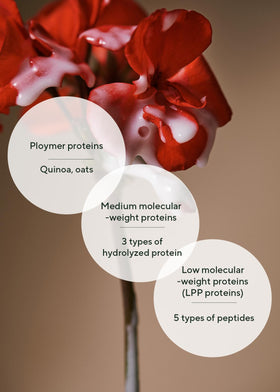 AROMATICA Quinoa Protein Hair Ampoule fragrance evokes ylang-ylang and rose notes