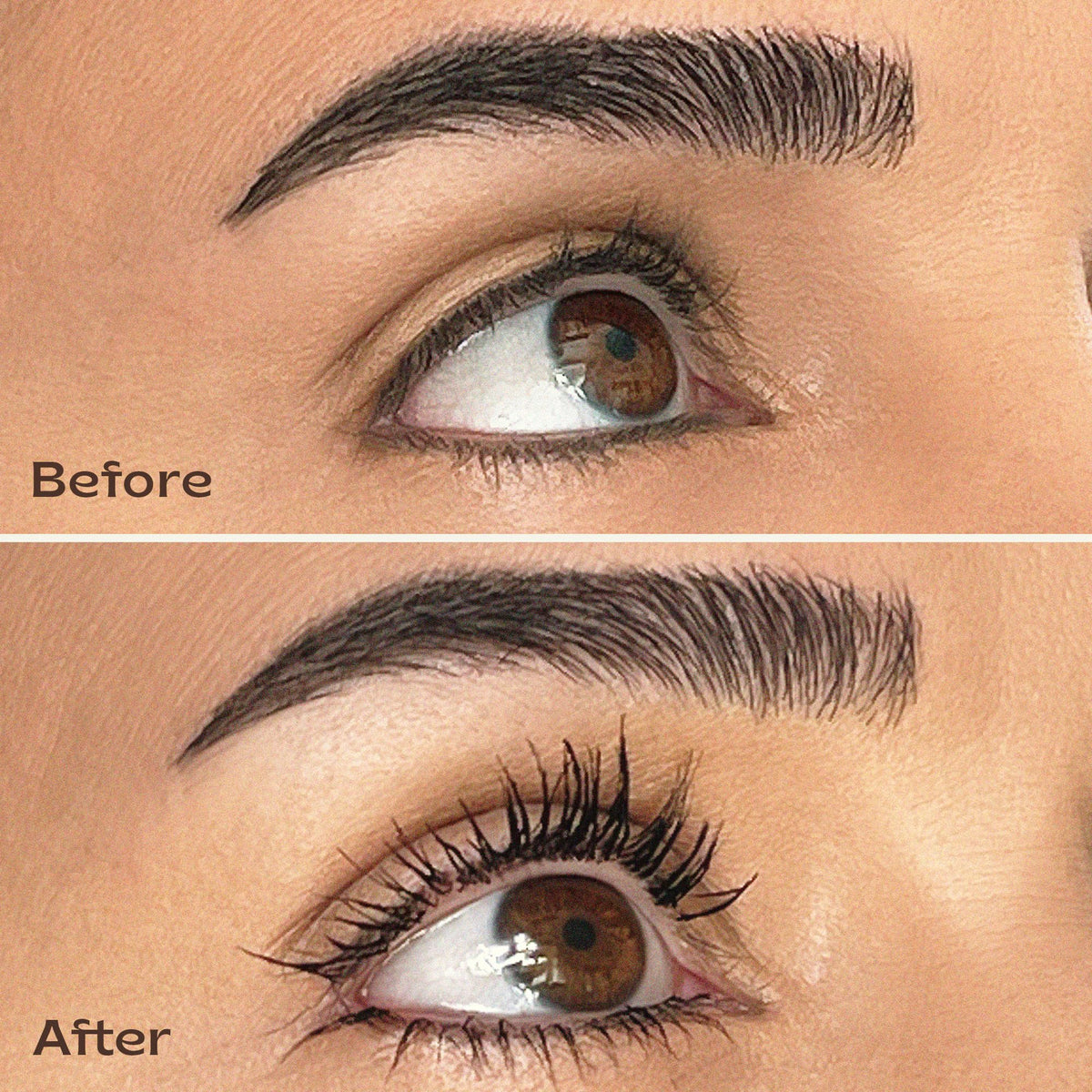 Arre Beauty Ace High brush close-up showing precise bristles for separation