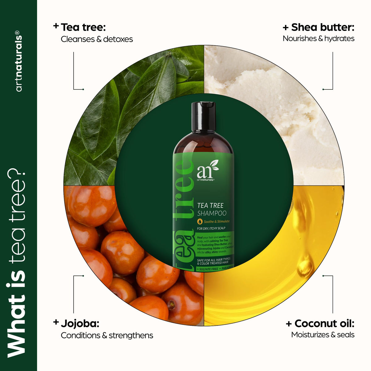 Ingredients scene emphasizing borage oil and watercress extract for moisturized scalp.