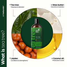 Ingredients scene emphasizing borage oil and watercress extract for moisturized scalp.