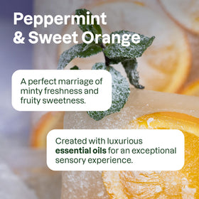 ATTITUDE fragrance blends peppermint and orange for a lively routine