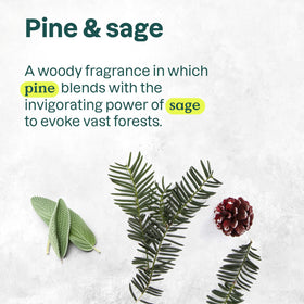 ATTITUDE Pine and Sage aroma note for a soothing wash