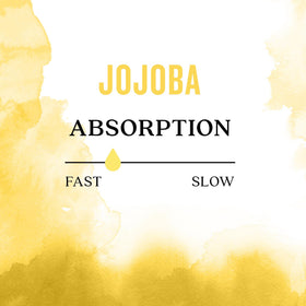 Aura Cacia Balancing Jojoba Oil on the scalp provides added moisture