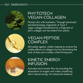 Aveda Advanced Botanical Kinetics Plumping Cream routine shot suggests morning skincare ritual.