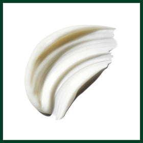 Aveda Be Curly Advanced Conditioner with kokum seed butter nourishes and conditions hair.