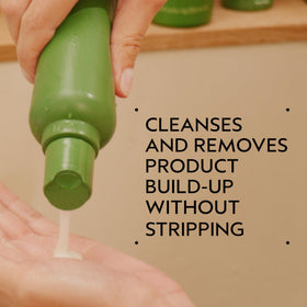 Creamy lather of Aveda Be Curly Advanced Shampoo cleanses and moisturizes curls