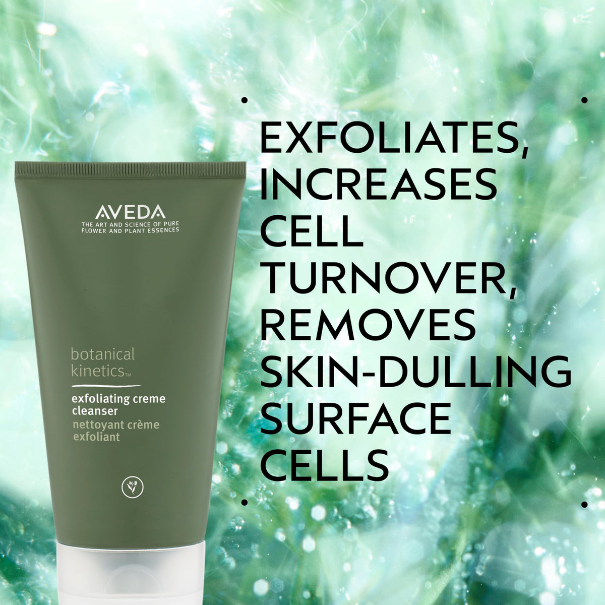 Creamy lather from jojoba beads demonstrates gentle exfoliation.