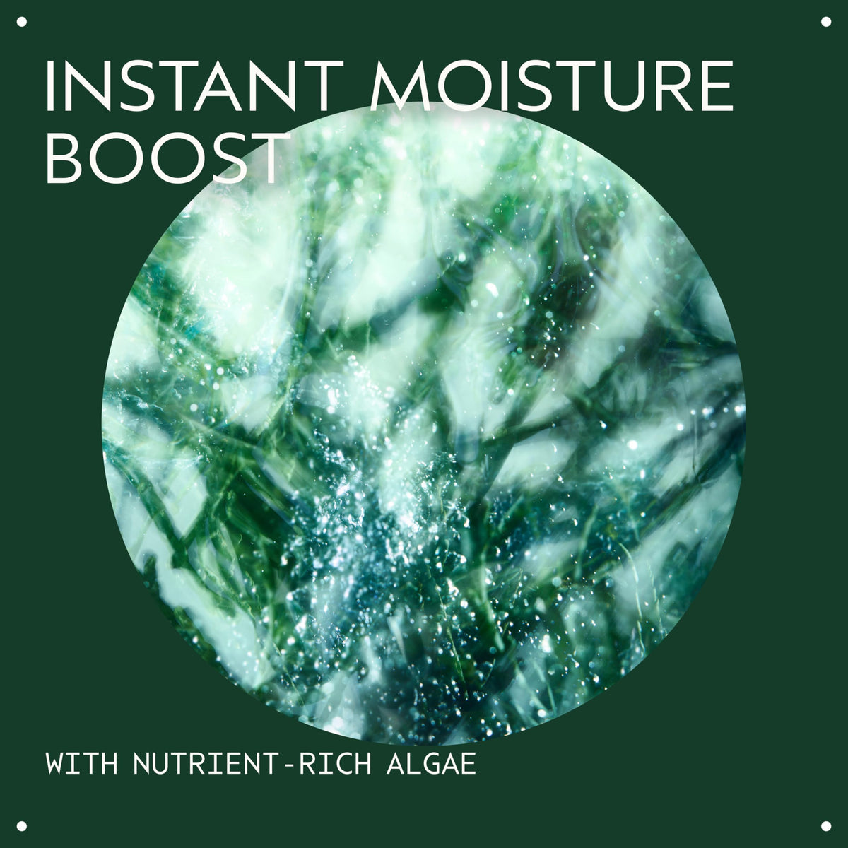 Aveda Botanical Kinetics Hydrating Treatment Lotion algae ingredient highlight for hydration.