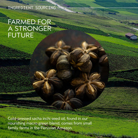 Aveda Botanical Repair Masque Light ingredients label and key claims.