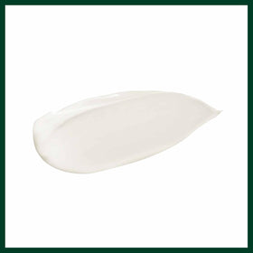 Aveda Botanical Repair Masque Rich compact travel-size for on the go care.