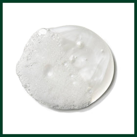 Aveda Color Control Light Shampoo with apricot oil nourishing and sealing cuticle.