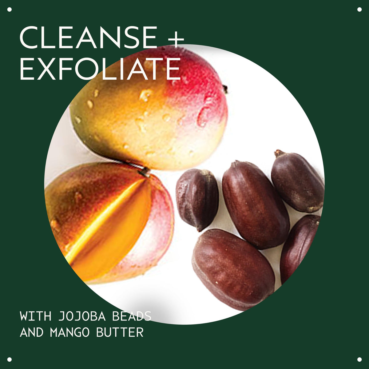 Close-up of jojoba beads delivering mild physical exfoliation.
