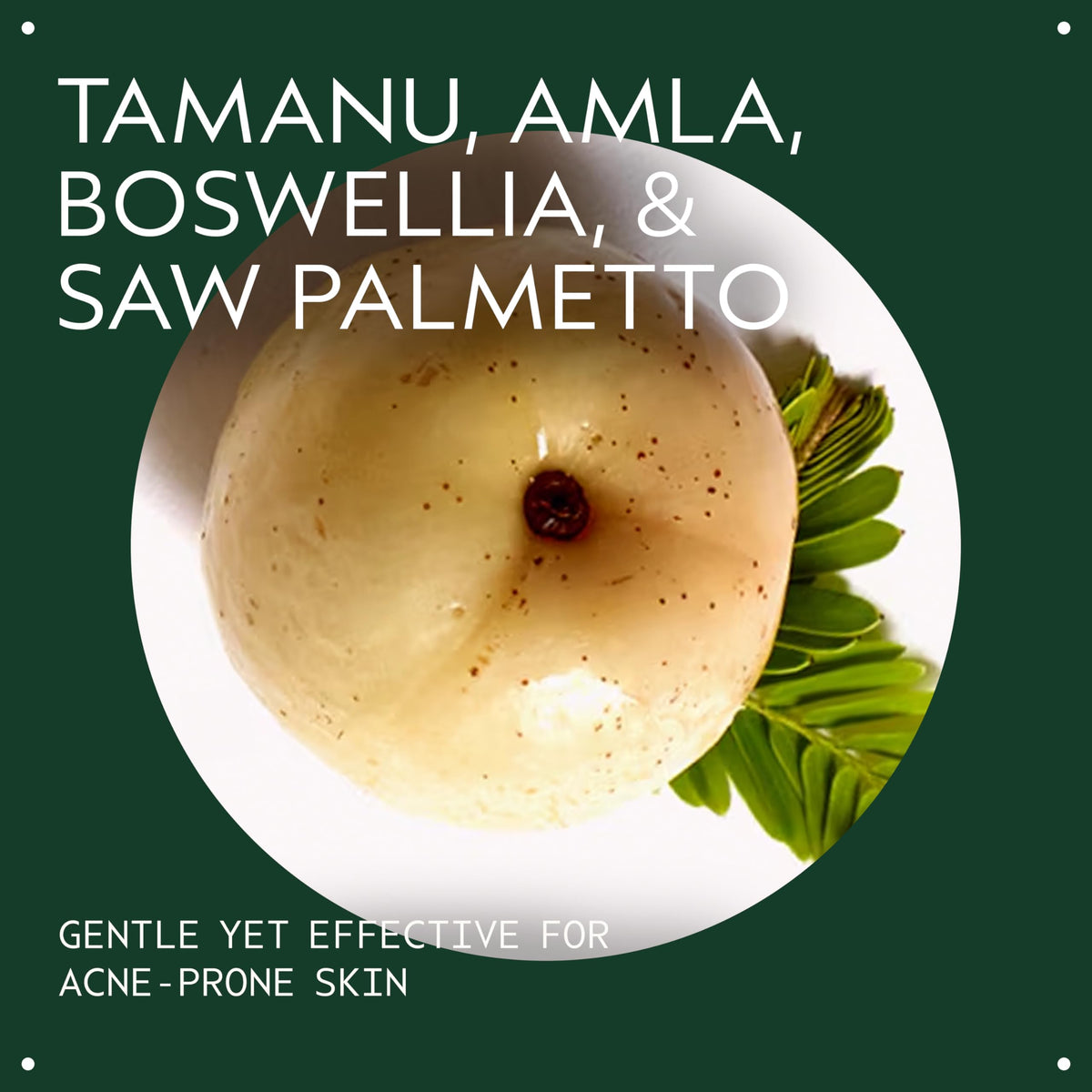 Creamy foam texture of Aveda Outer Peace Foaming Cleanser