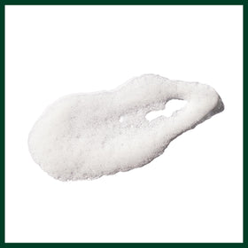 Aveda Outer Peace cleanser with tamanu and amla plant extracts for balanced cleansing