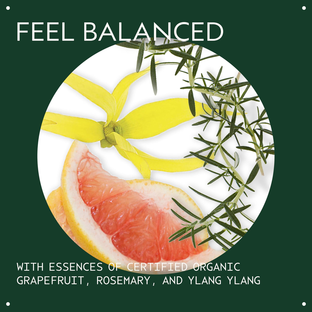 Aveda essential oil blend with grapefruit, rosemary, ylang ylang enhances ambience