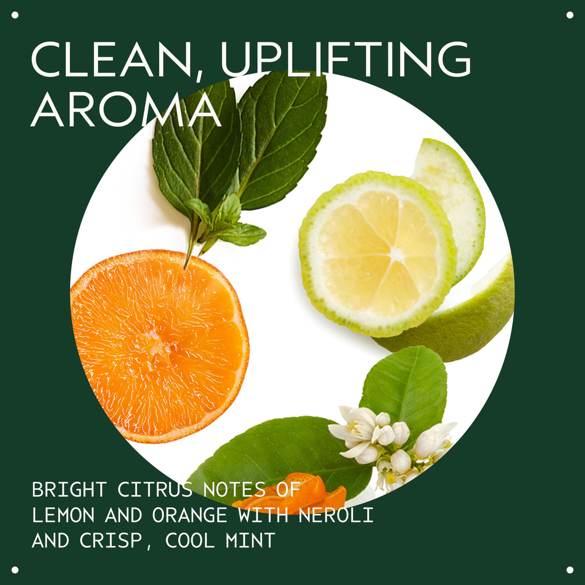 Aveda Scalp Solutions Balancing Shampoo foaming lather on wet hair.