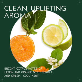Aveda Scalp Solutions Balancing Shampoo foaming lather on wet hair.