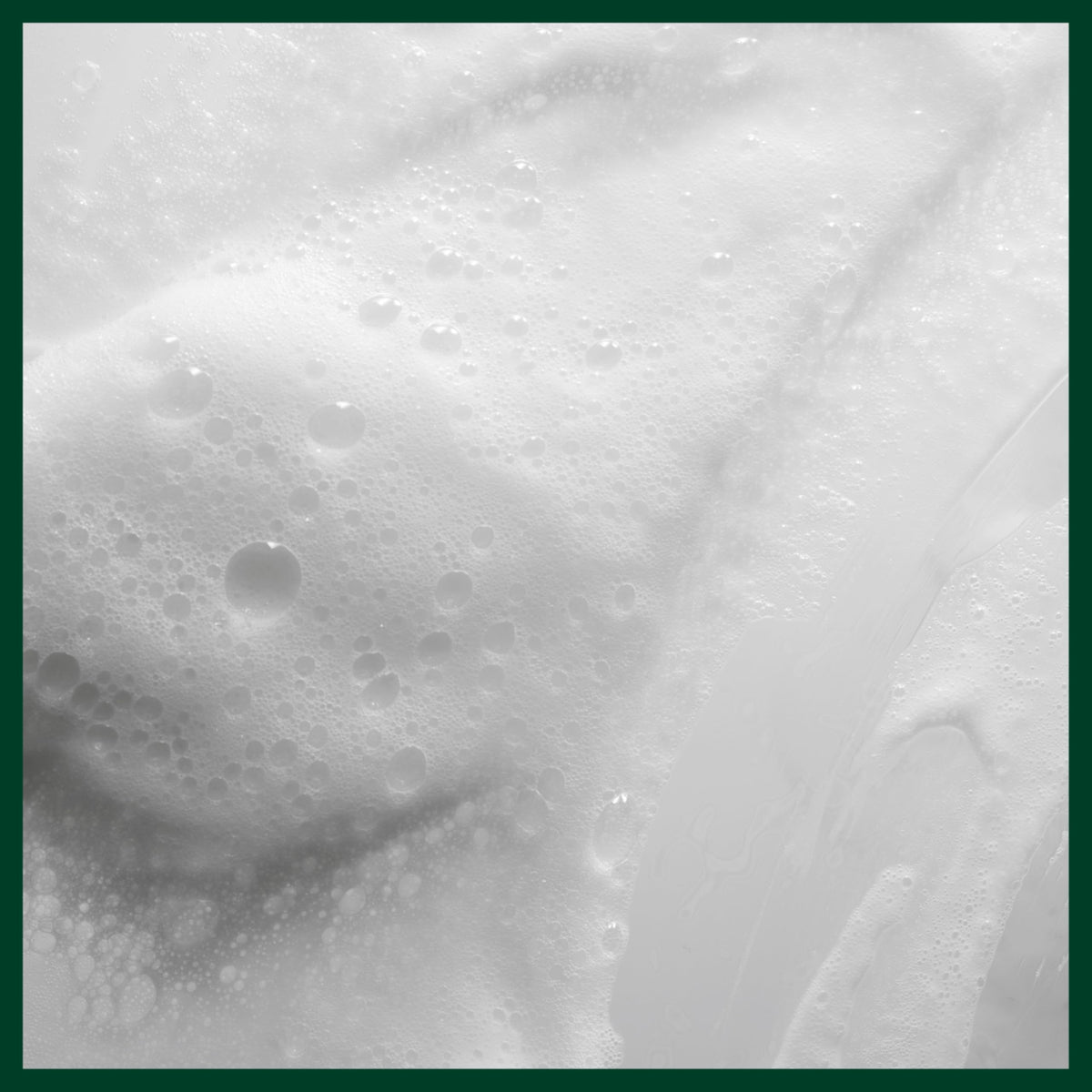 Aveda Scalp Solutions Balancing Shampoo beside neroli petals for a fresh scent.