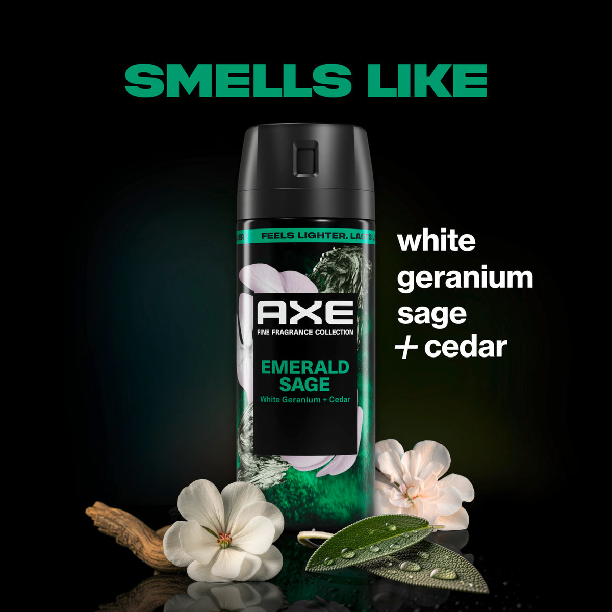 AXE Everyday Essentials Pure Coconut bottle—refreshing tropical vibe for casual days.