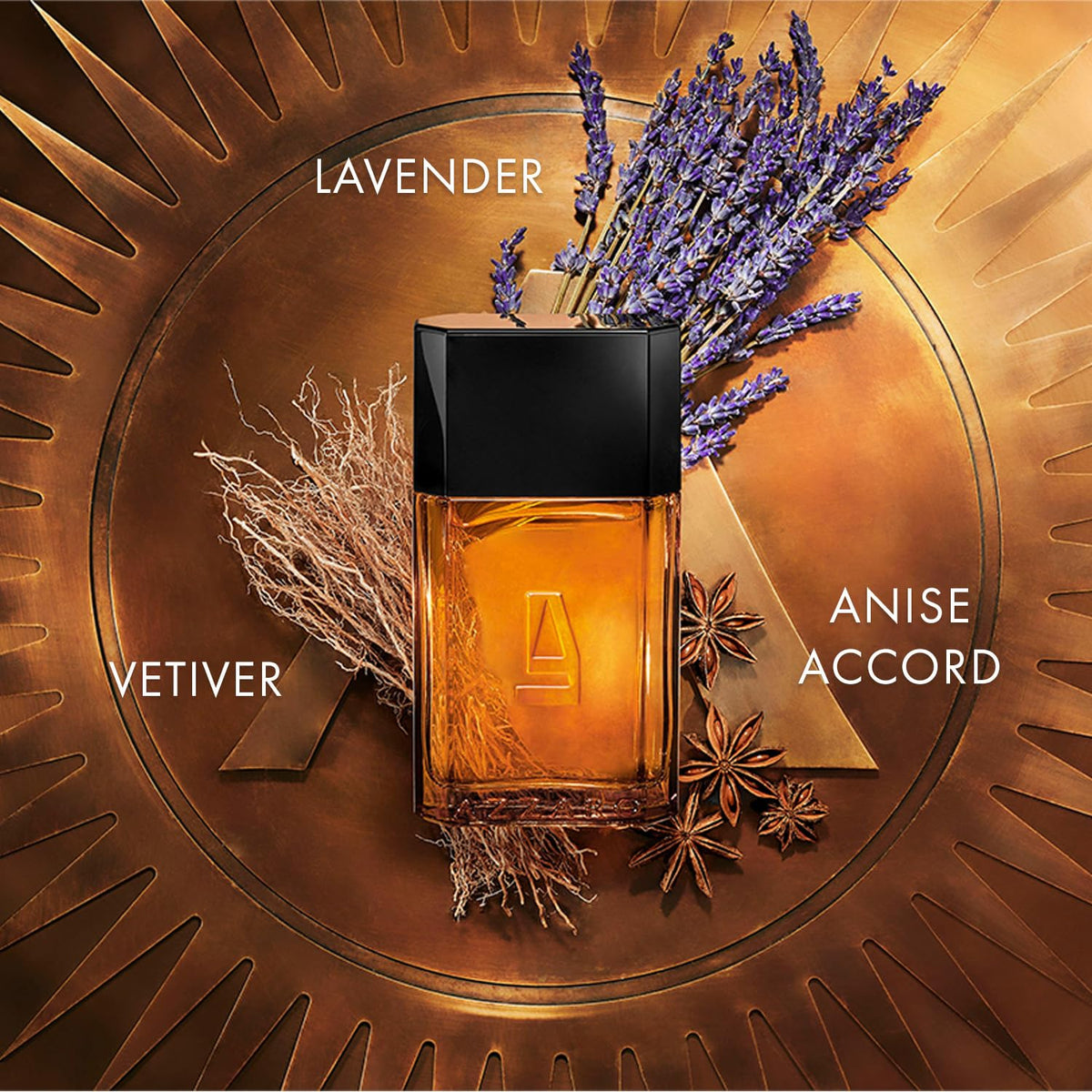 Azzaro Pour Homme atomizer shot, capturing spray-ready premium quality for fresh scent application.
