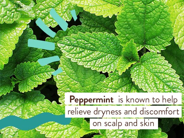 Babo Botanicals conditioner dispensing pump enables easy, mess-free application