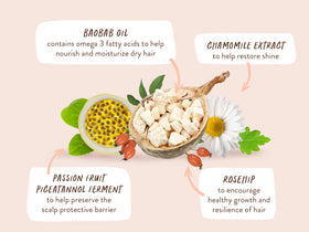 Babo Botanicals curly hair before and after defining effect