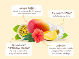 Babo Botanicals dermatologist-tested silicone-free vegan formula supports sensitive scalps.