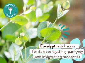 Babo Botanicals Eucalyptus Remedy Conditioner label highlights plant-based formula