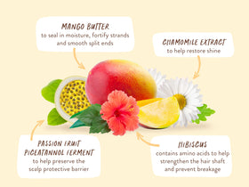 Babo Botanicals shampoo massaged into color-treated hair for nourishment and softening.