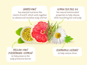 Babo Botanicals Purifying Shampoo after-wash hair reveals natural shine and body.