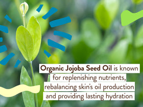 Babo Botanicals SPF 40 broad-spectrum protection during outdoor activities.