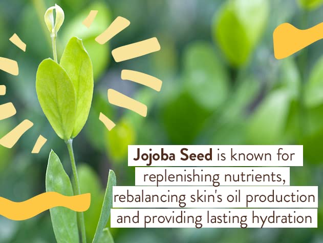 Babo Botanicals Swim & Sport Balm SPF50—rapid absorption for active daily wear.