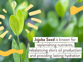 Babo Botanicals Swim & Sport Balm SPF50—rapid absorption for active daily wear.